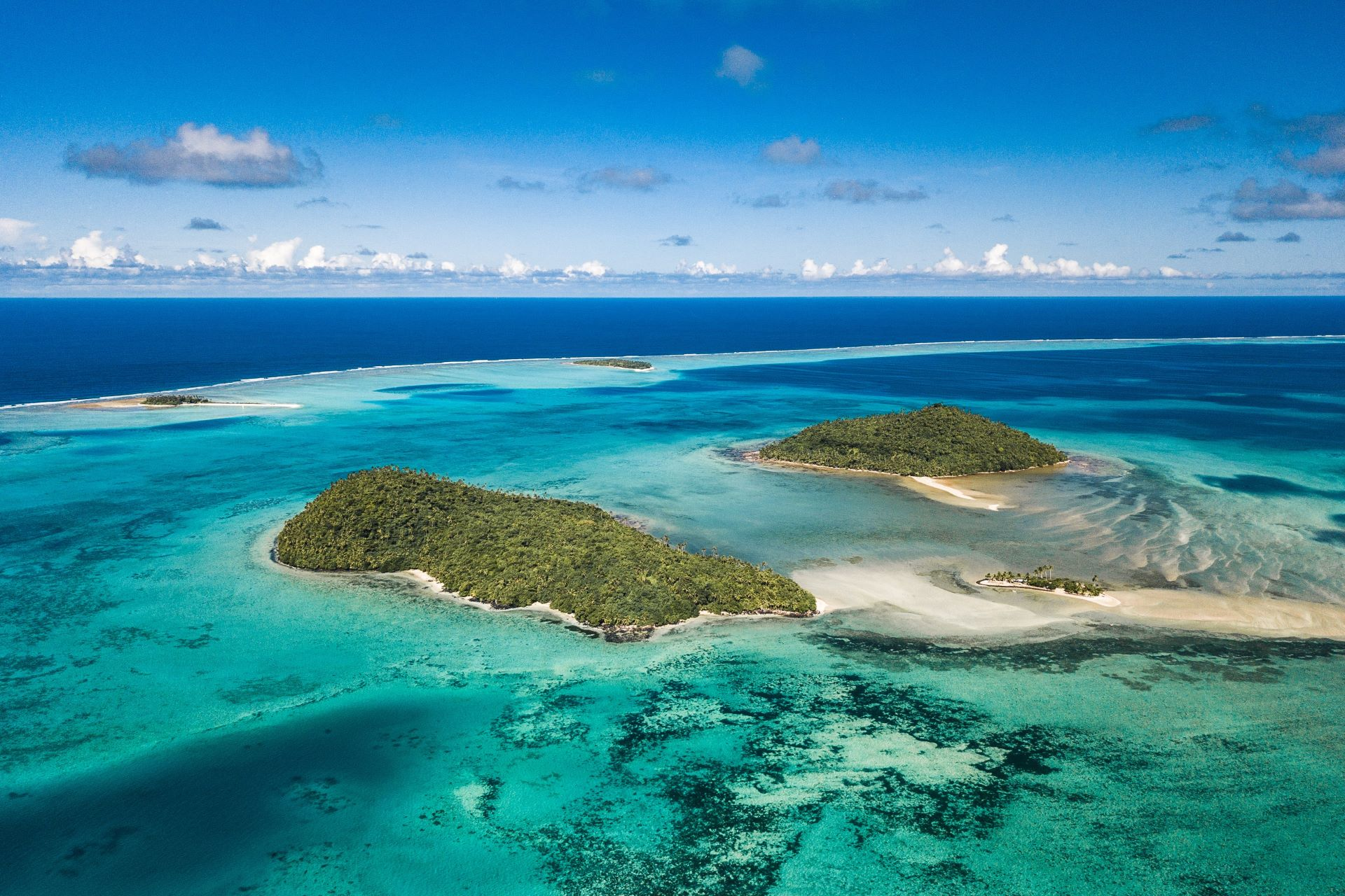 wallis white sandals